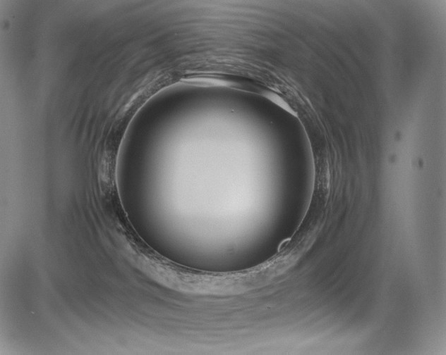 X0000085070044200703051419