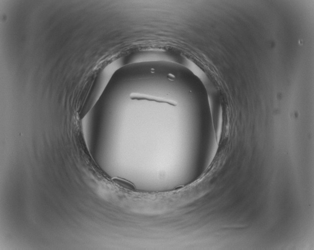 X0000085070045200703051419