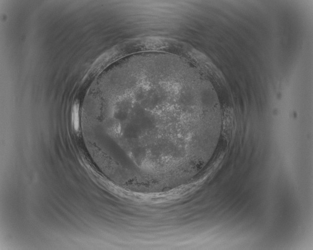 X0000085070046200703051419