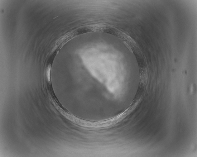 X0000085070047200703051419