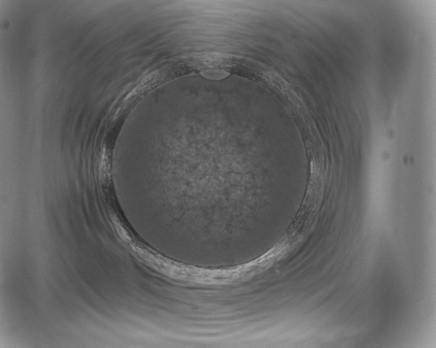 X0000085070048200703051419