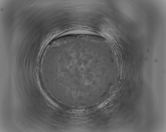 X0000085070049200703051418