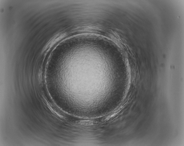 X0000085070050200703051418