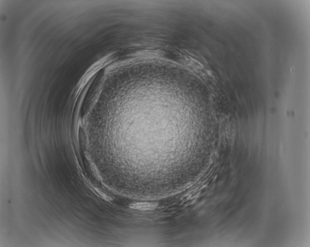 X0000085070051200703051418