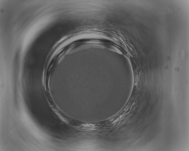 X0000085070052200703051418