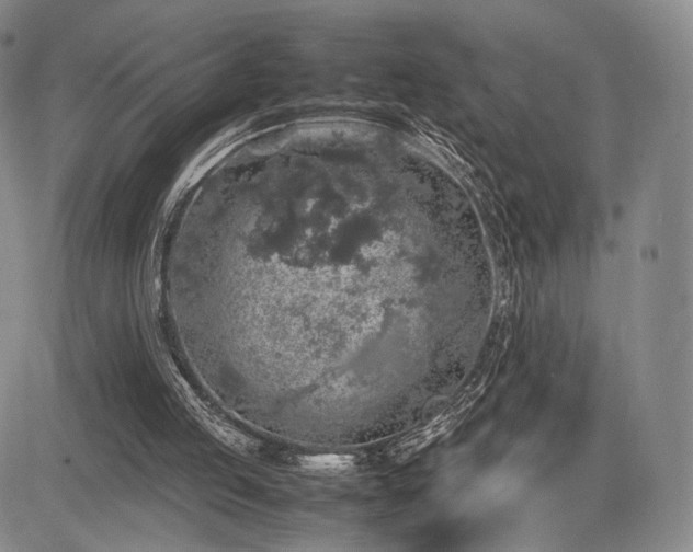 X0000085070053200703051418