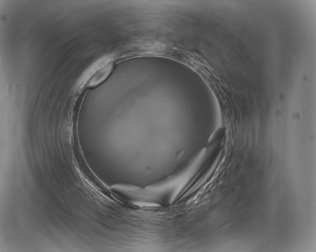 X0000085070054200703051418