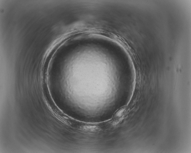 X0000085070055200703051418