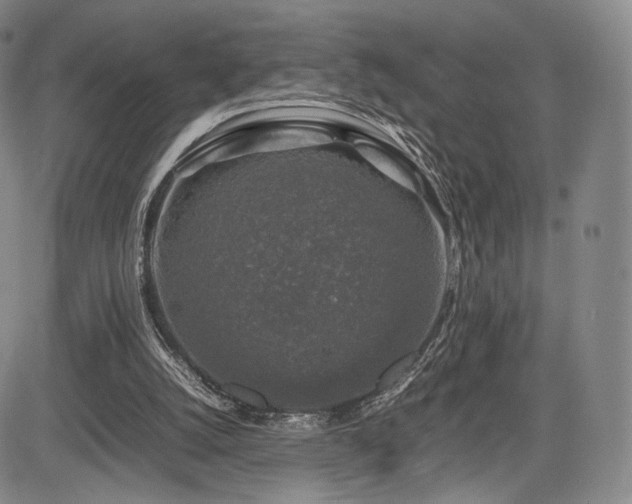 X0000085070056200703051418