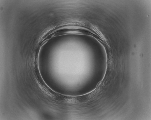 X0000085070058200703051418