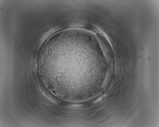 X0000085070059200703051418