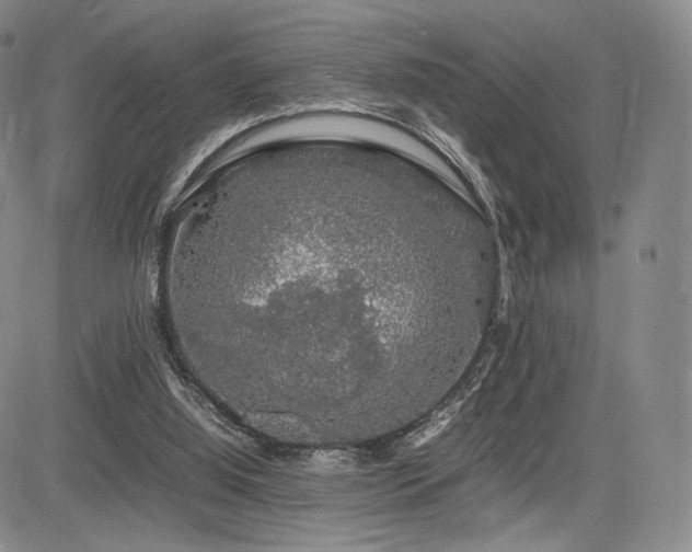 X0000085070060200703051418