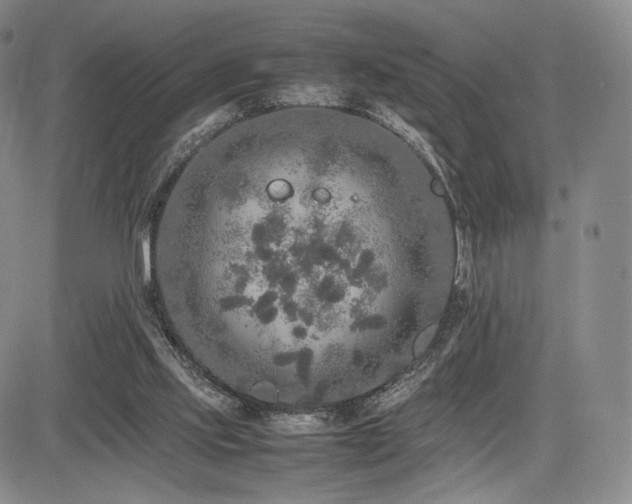 X0000085070061200703051418