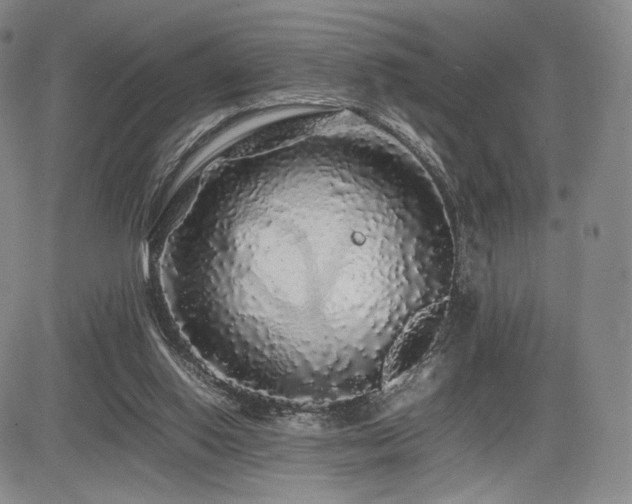 X0000085070062200703051418