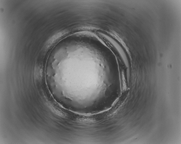 X0000085070063200703051418