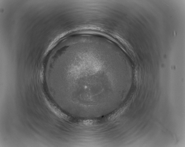 X0000085070064200703051418