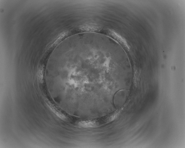 X0000085070065200703051418