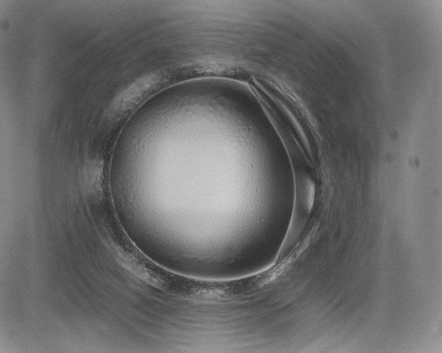 X0000085070066200703051418