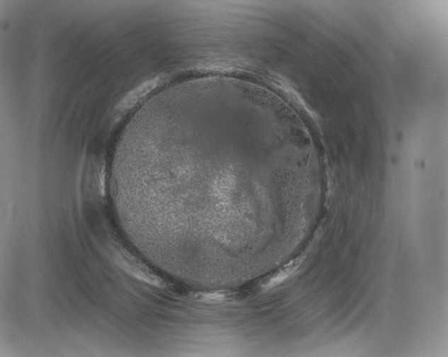 X0000085070068200703051418