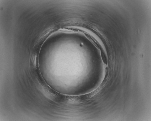 X0000085070070200703051418