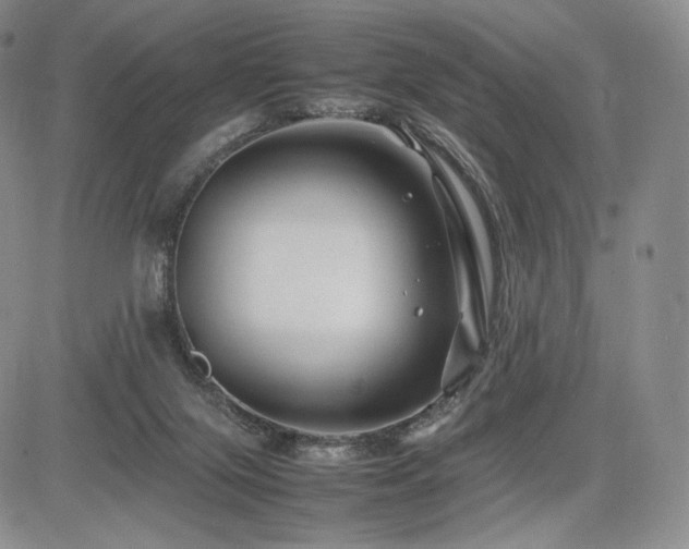 X0000085070071200703051418