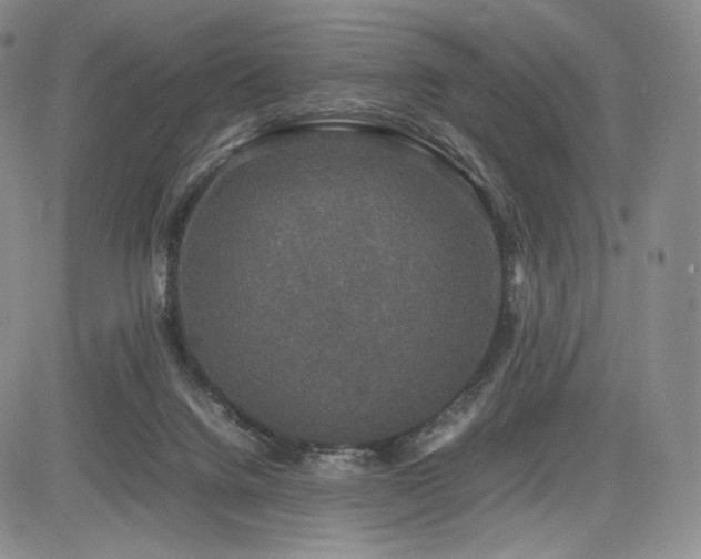 X0000085070072200703051418