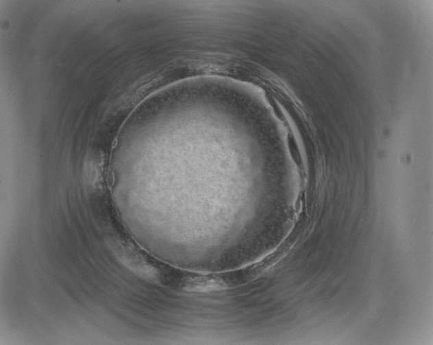 X0000085070073200703051418