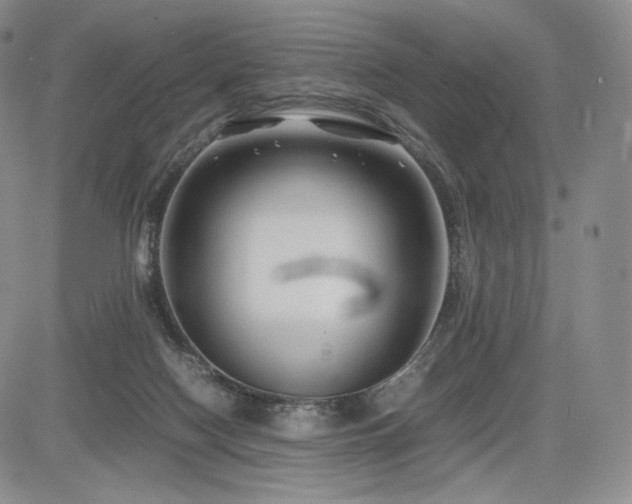 X0000085070074200703051418