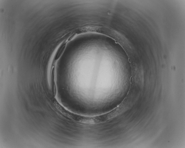 X0000085070075200703051418