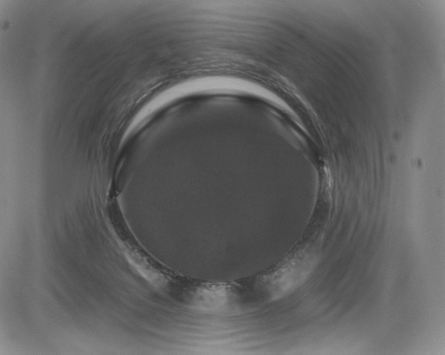 X0000085070076200703051418