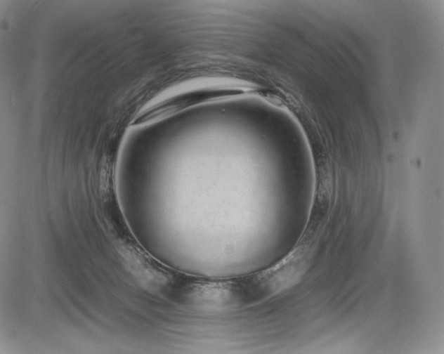 X0000085070078200703051418