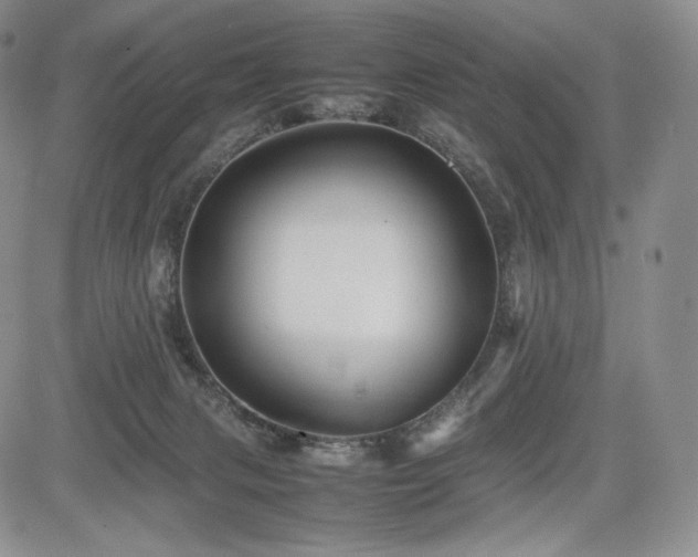 X0000085070079200703051418