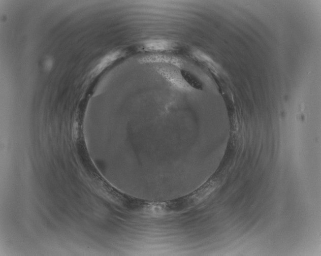 X0000085070080200703051418