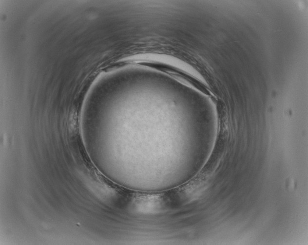 X0000085070081200703051418