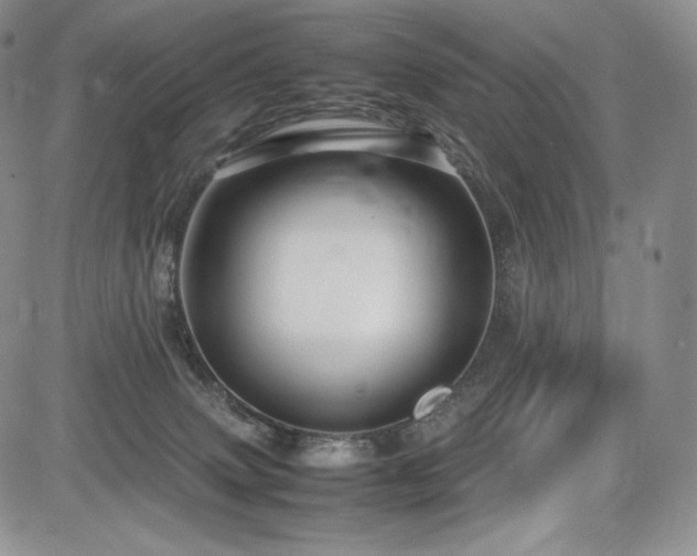 X0000085070083200703051418