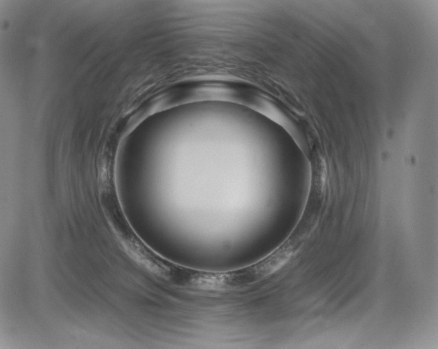 X0000085070084200703051418