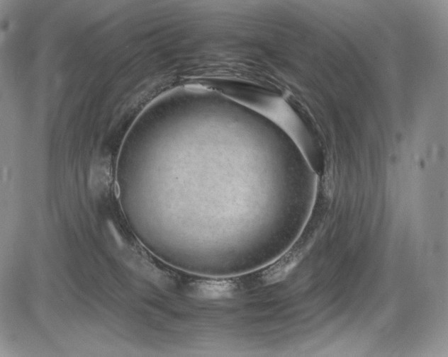 X0000085070085200703051419