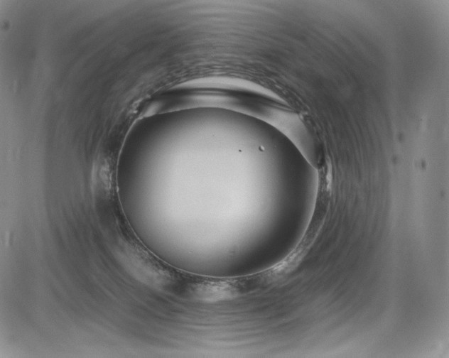 X0000085070086200703051419