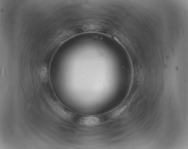 X0000085070087200703051419