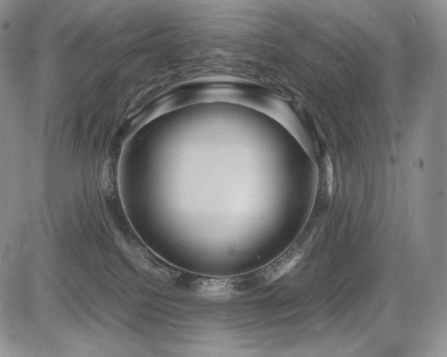 X0000085070088200703051419