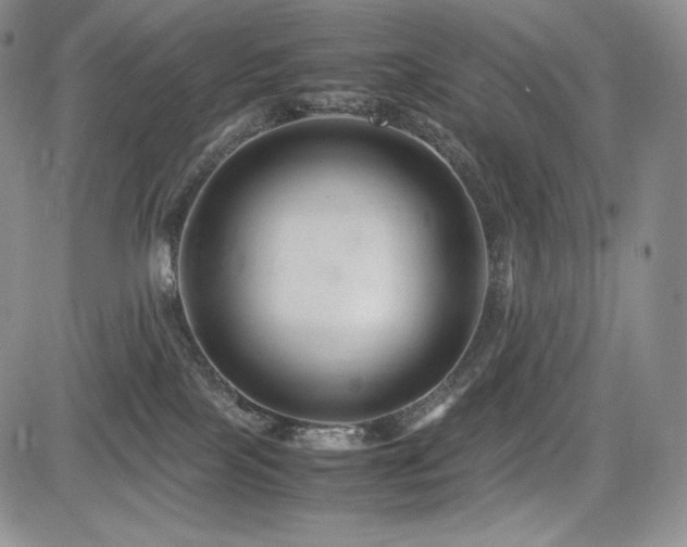 X0000085070089200703051419