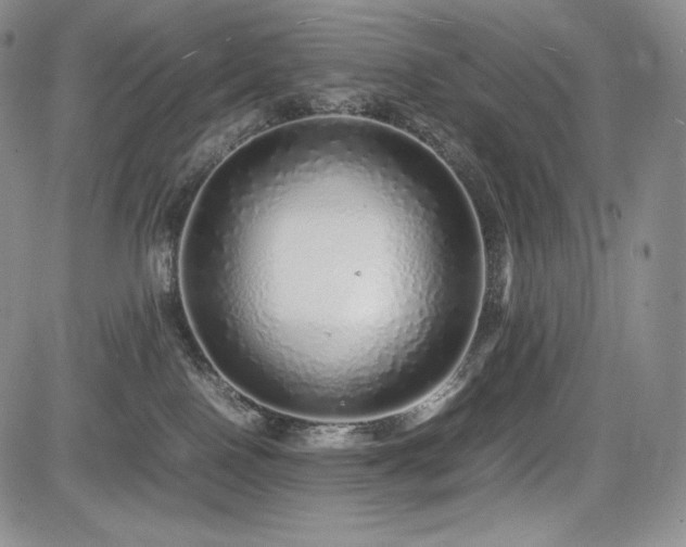 X0000085070090200703051419