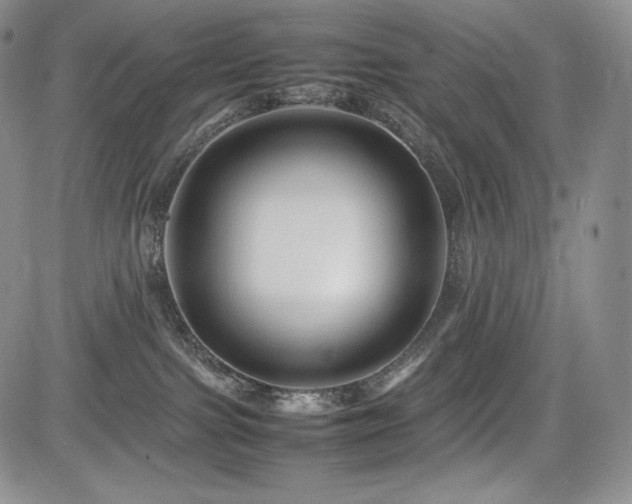 X0000085070091200703051419