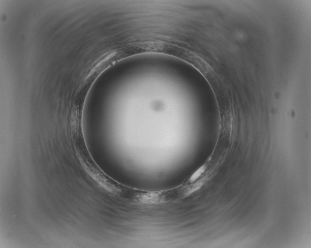 X0000085070092200703051419