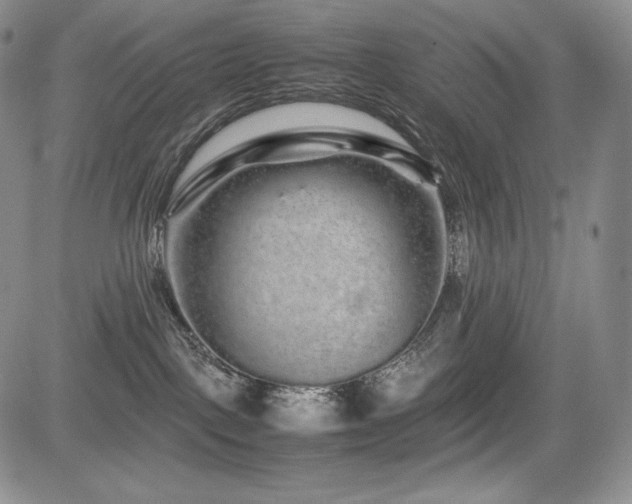 X0000085070093200703051419