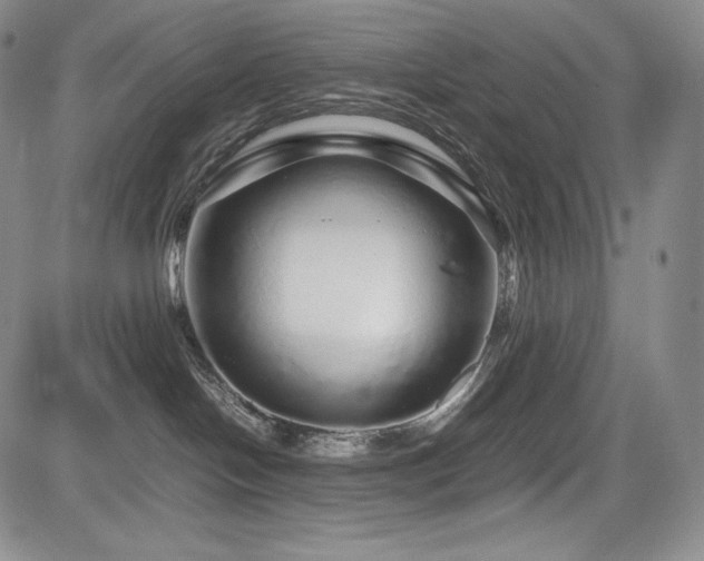 X0000085070094200703051419