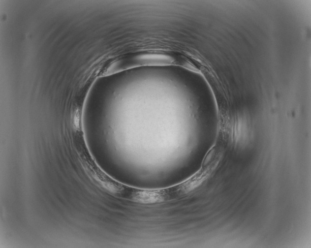 X0000085070095200703051419