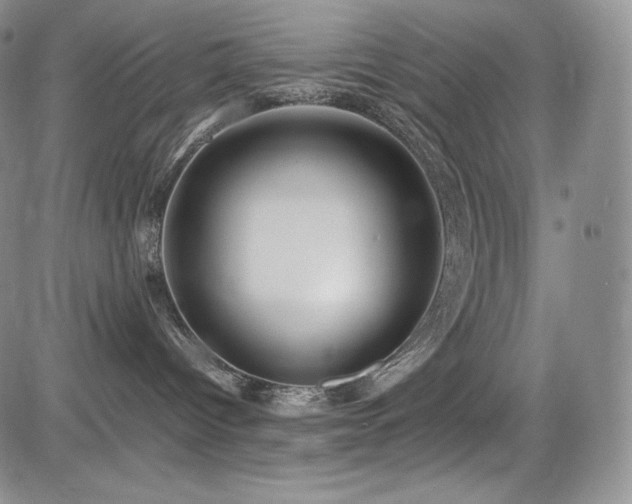 X0000085070096200703051419