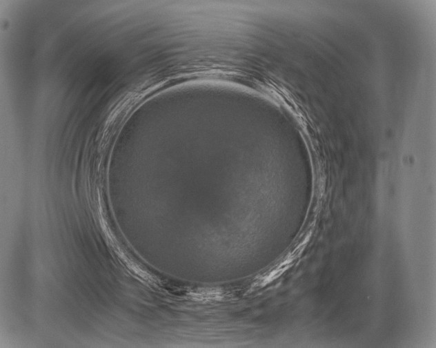 X0000085070097200703051418