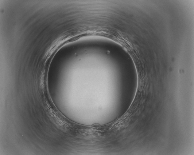 X0000085070098200703051418